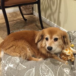 Meet your Posher, Suzan